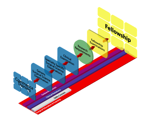 careers_surgery_fellowship.gif