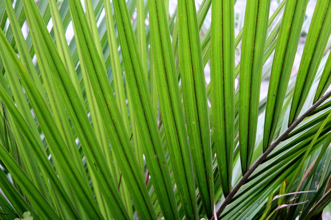 Adcorp Poster Possibles 083