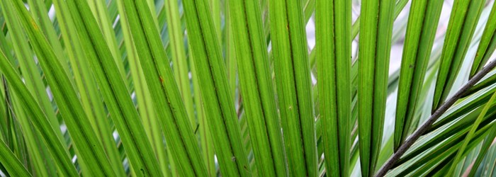 Adcorp Poster Possibles 083