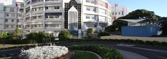 Starship Childrens Hospital, Auckland New Zealand